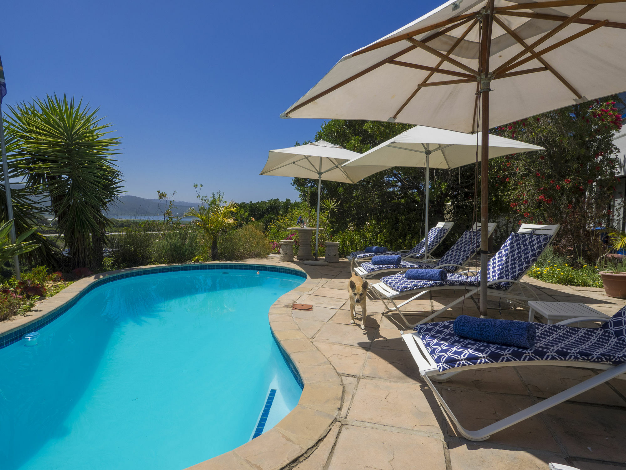Shining Waters Guest House Wilderness Luaran gambar