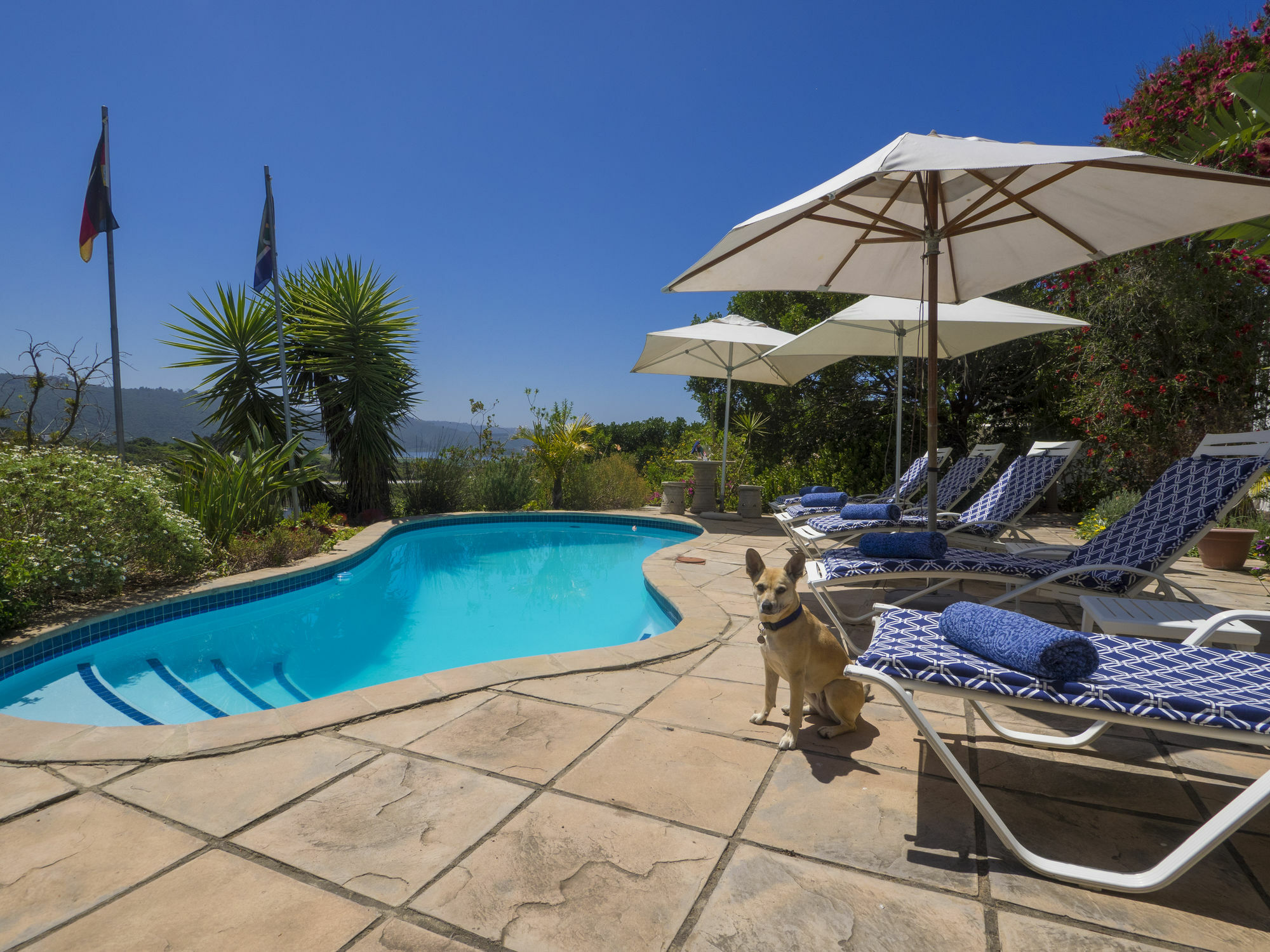 Shining Waters Guest House Wilderness Luaran gambar